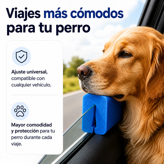 Apoyo de Ventanilla para Perros