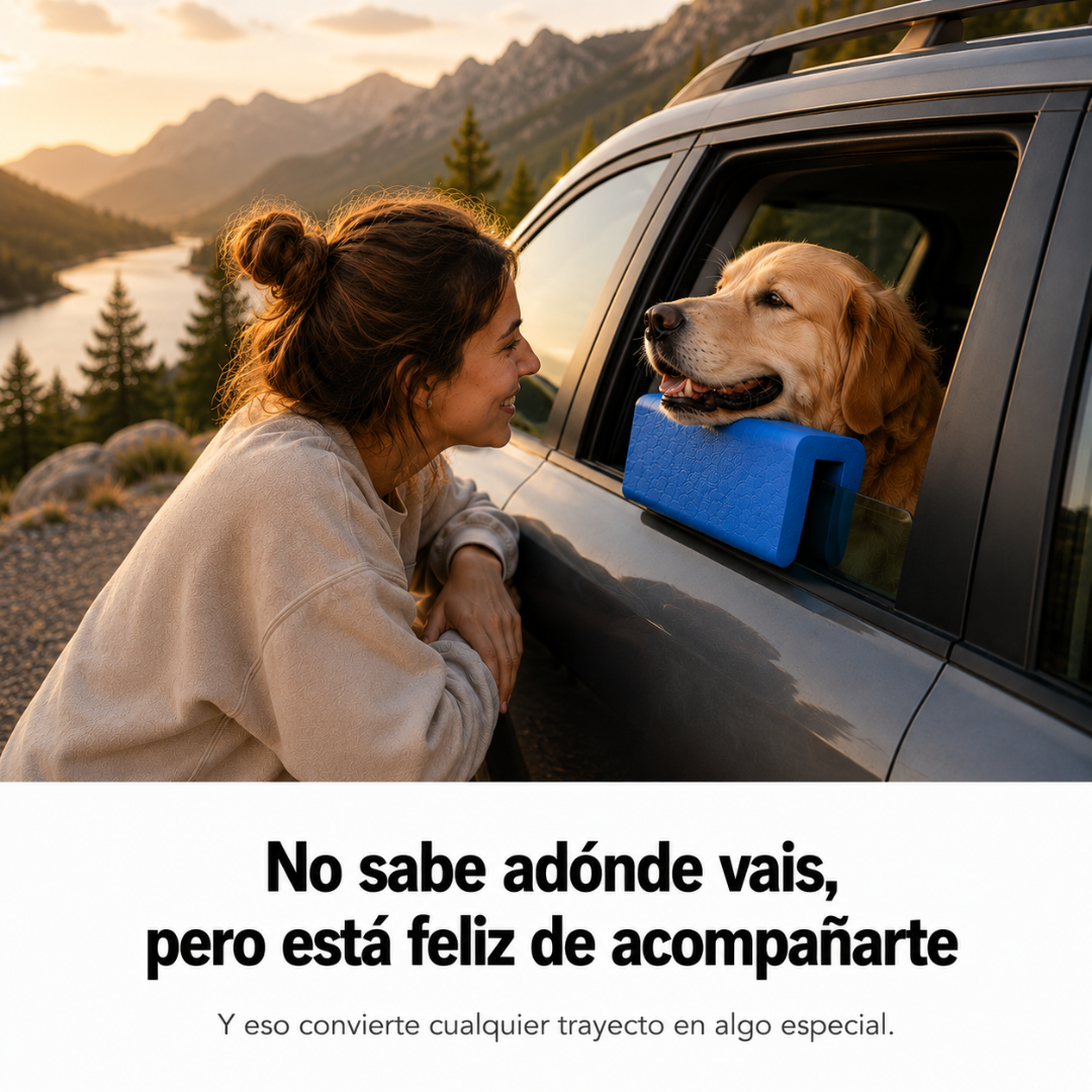 Apoyo de Ventanilla para Perros